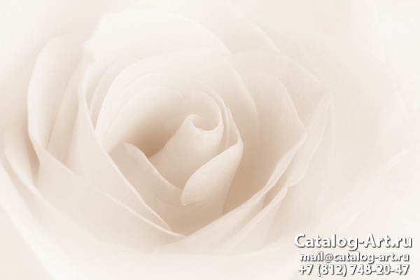 Натяжные потолки с фотопечатью - Белые розы 17